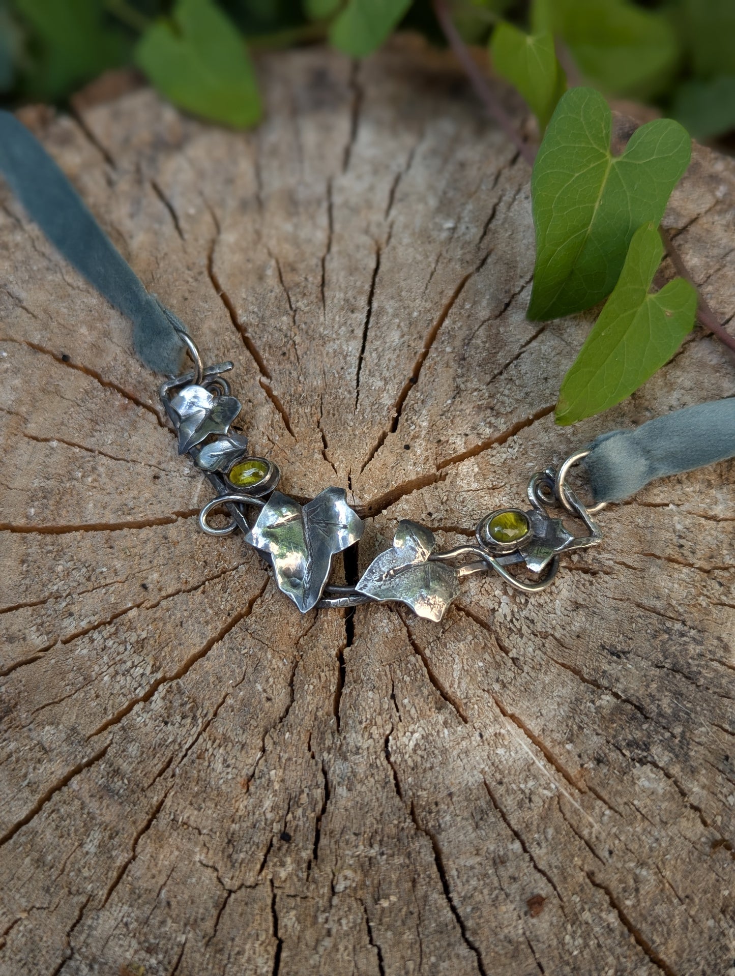 Choker edera