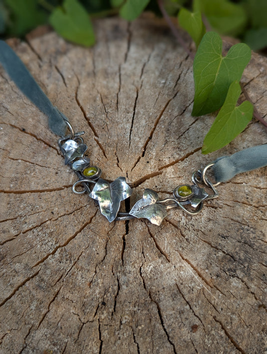 Choker edera